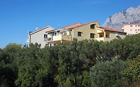 Apartment Mileta